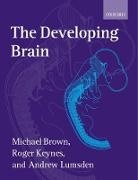 M. C. Brown, Michael Brown, Michael (Formerly At Department of Physiolo Brown, Michael Keynes Brown, Roger Keynes, Andrew Lumsden - Developing Brain