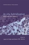 &amp;apos, Mushir d. Hasan, Polak, Julia M. (Department of Histochemistry Polak, Julia M. Mcgee Polak, James Mcgee... - In Situ Hybridization
