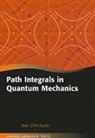 Jean Zinn-Justin, Jean (Head of Dapnia/DSM/CEA-Saclay Zinn-Justin, Zinn-Justin Jean - Path Integrals in Quantum Mechanics