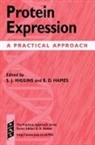 S. J. Higgins, S. J. (School of Biochemistry and Molecul Higgins, S. J. Hames Higgins, Stephen J. Hames Higgins, B. D. Hames, B. D. (School of Biochemistry and Molecular Biology Hames... - Protein Expression