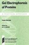 Hames, B. D. (Department of Biochemistry and Molec Hames, B. D. Rickwood Hames, B.d. Rickwood Hames, B. D. Hames, B. David Hames... - Gel Electrophoresis of Proteins