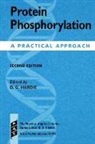 D. Grahame Hardie, Grahame Hardie, D. G. Hardie, Grahame (Department of Biochemistry Hardie - Protein Phosphorylation
