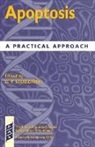 G. Studzinski, G.p. Studzinski, George Studzinski, George P. Studzinski, George Studzinski, George (Professor of Pathology and Laboratory Medicine Studzinski... - Apoptosis