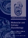 Minoru Hindsgaul Fukuda, Minoru Fukuda, Ole Hindsgaul, Ole Hindsgual - Molecular and Cellular Glycobiology