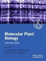 P. M. Gilmartin, Philip M. Bowler Gilmartin, Chris Bowler, Philip M. Gilmartin - Molecular Plant Biology