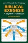John H. Hayes, John H. Holladay Hayes, Carl R. Holladay - Biblical Exegesis