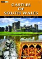 Chris S. Stephens - Inside Out Series: Castles of South Wales