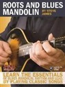 Steve James - Roots and Blues Mandolin