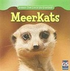 Therese Harasymiw - Meerkats