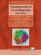 Gilberto Artioli, Gilberto (University of Padova Artioli, Michele Catti, Giovanni Ferraris, Giovanni (University of Torino Ferraris, Carmelo Giacovazzo... - Fundamentals of Crystallography