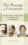 Gogwilt, Christopher GoGwilt, GoGwilt Christopher - The Passage of Literature