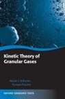 Nikolai V. Brilliantov, Nikolai V./ Poschel Brilliantov, Brilliantov Nikolai V., Thorsten Poschel, Thorsten Pöschel - Kinetic Theory of Granular Gases
