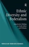 Yonatan Tesfaye Fessha, Fessha Yonatan Tesfaye - Ethnic Diversity and Federalism
