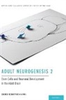 Md Gerd Kempermann, Gerd Kempermann MD, MD Kempermann, Prof. Dr. Gerd Kempermann - Adult Neurogenesis