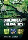 Norman W. H. Cheetham, Norman W.h. Cheetham - Introducing Biological Energetics