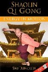 Shi Xinggui - Shaolin Qi Gong Energy in Motion