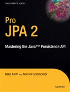 Jeremy Keith, Mik Keith, Mike Keith, Merric Schincariol, Merrick Schincariol - Pro JPA 2