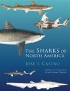 Jose Castro, Jose (Fisheries Biologist Castro, Jose I Castro, Jose I. Castro, Jose/ Peebles Castro, Diane Peebles... - The Sharks of North America