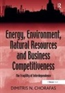 Dimitris N. Chorafas - Energy, Environment, Natural Resources and Business Competitiveness
