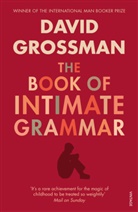 David Grossman - The Book of Intimate Grammar