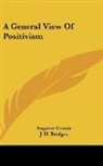 Auguste Comte - A General View of Positivism