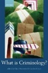 Mary Bosworth, Mary/ Hoyle Bosworth, Carolyn Hoyle, Dr Mary Bosworth, Mary Bosworth, Carolyn Hoyle... - What Is Criminology?