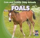 Grace Elora - Foals