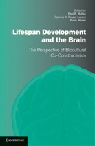 Paul B. Baltes, Paul B. (Max-Planck-Institut Fur Bildungsf Baltes, Paul B. Reuter-Lorenz Baltes, Paul B. Baltes, Baltes Paul B., Patricia A. Reuter-Lorenz... - Lifespan Development and the Brain