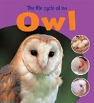 Ruth Thomson - Life Cycle of an Owl