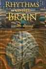 Gyorgy Buzsaki, Buzsaki Gyorgy - Rhythms of the Brain