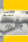 Dante Gatteschi, Dante (University of Florence) Gatteschi, Dante Sessoli Gatteschi, Roberta Sessoli, Roberta (University of Florence) Sessoli, Jacques Villain... - Molecular Nanomagnets