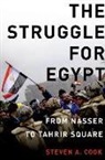 Steven Cook, Steven A. Cook - The Struggle for Egypt