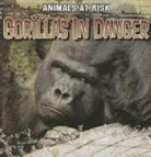 Michael Portman - Gorillas in Danger