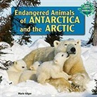 Marie Allgor - Endangered Animals of Antarctica and the Arctic