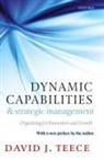 David J. Teece, David J. ( Teece, David J. (Chaired Professor Teece, Teece David J. - Dynamic Capabilities and Strategic Management