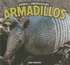 Emily Sebastian - Armadillos