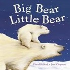 Davi Bedford, David Bedford, Jane Chapman, Jane Chapman - Big Bear Little Bear