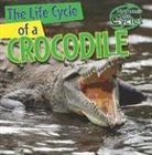 Barbara M. Linde - The Life Cycle of a Crocodile