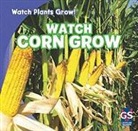 Kristen Rajczak - Watch Corn Grow
