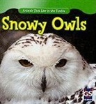 Roman Patrick - Snowy Owls