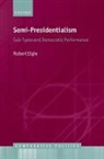 Robert Elgie, Robert (Paddy Moriarty Professor of Government and International Studies Elgie - Semi-Presidentialism