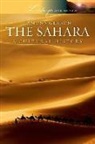 Eamonn Gearon - The Sahara