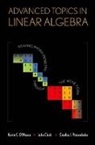 John Clark, John (Associate Professor Clark, Kevin C./ Clark Meara, O&amp;apos, Kevin O'Meara, Kevin C O'Meara... - Advanced Topics in Linear Algebra