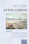 Andrea Biondi, Andrea/ Eeckhout Biondi, Piet Eeckhout, Stefanie Ripley, Andrea Biondi, Andrea (Professor of EU Law and Director of the Centre of European Law Biondi... - Eu Law After Lisbon