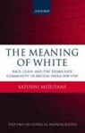 Satoshi Mizutani, Satoshi (Associate Professor Mizutani, Mizutani Satoshi - The Meaning of White