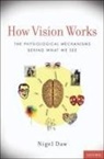 Nigel Daw, Daw Nigel - How Vision Works