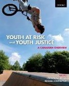 Russell Smandych, John A. Winterdyk, John a/ Smandych Winterdyk - Youth at Risk and Youth Justice