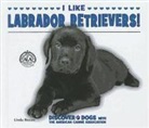Linda Bozzo - I Like Labrador Retrievers!