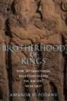 Amanda H Podany, Amanda H. Podany, Amanda H. (Professor of History Podany, Podany Amanda H. - Brotherhood of Kings