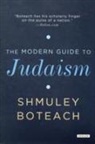 Rabbi Shmuley Boteach, Shmuley Boteach - The Modern Guide to Judaism